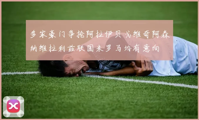 多家豪门争抢阿拉伊贝戈维奇阿森纳维拉利兹联国米罗马均有意向