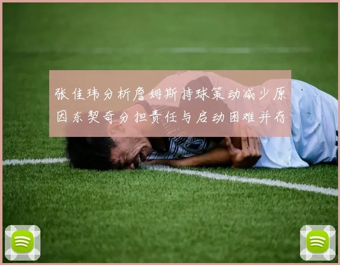 张佳玮分析詹姆斯持球策动减少原因东契奇分担责任与启动困难并存