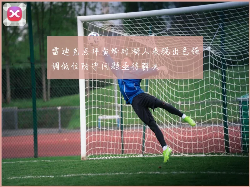 雷迪克点评黄蜂对湖人表现出色强调低位防守问题亟待解决